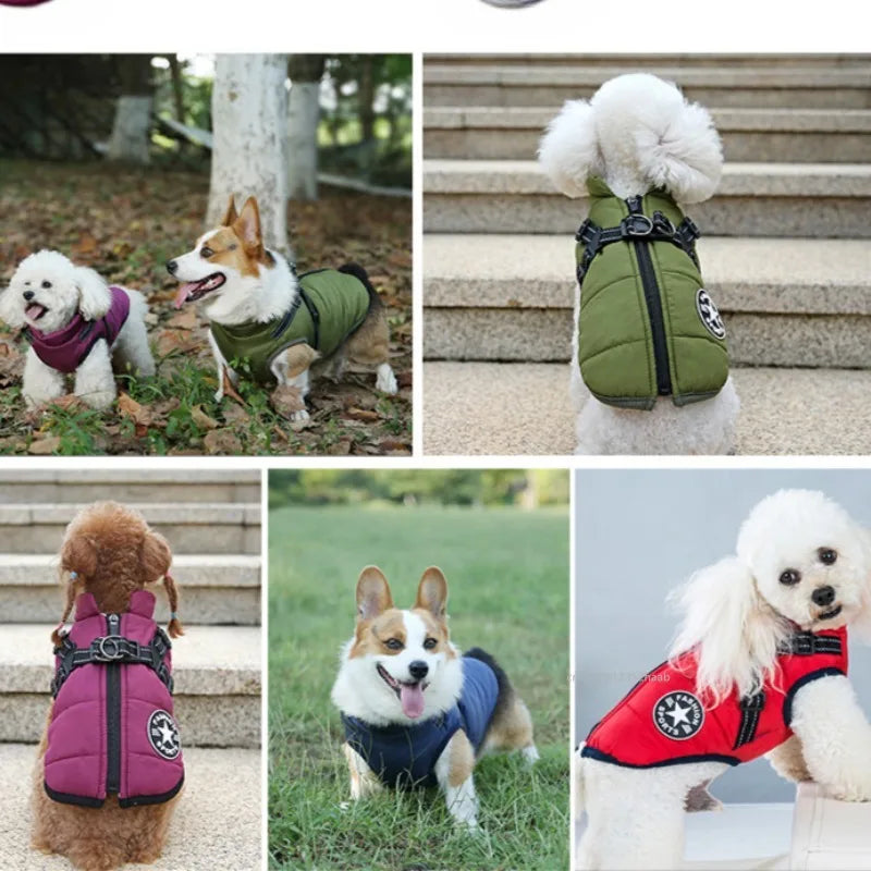 Warm Waterproof Dog Jacket