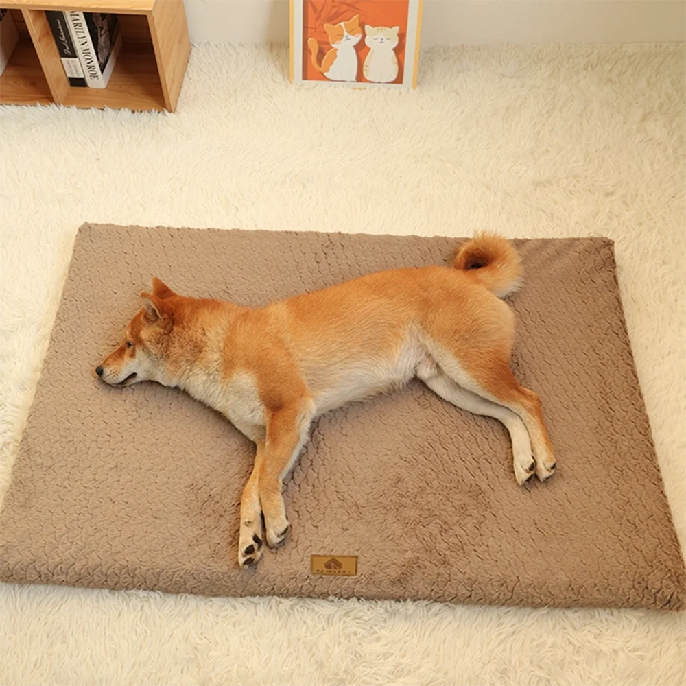 Washable Orthopedic Dog Bed