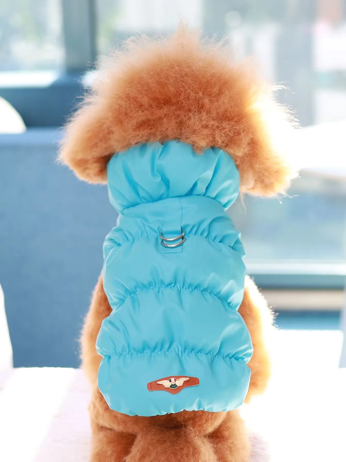 Warm 3-Layer Dog Jacket
