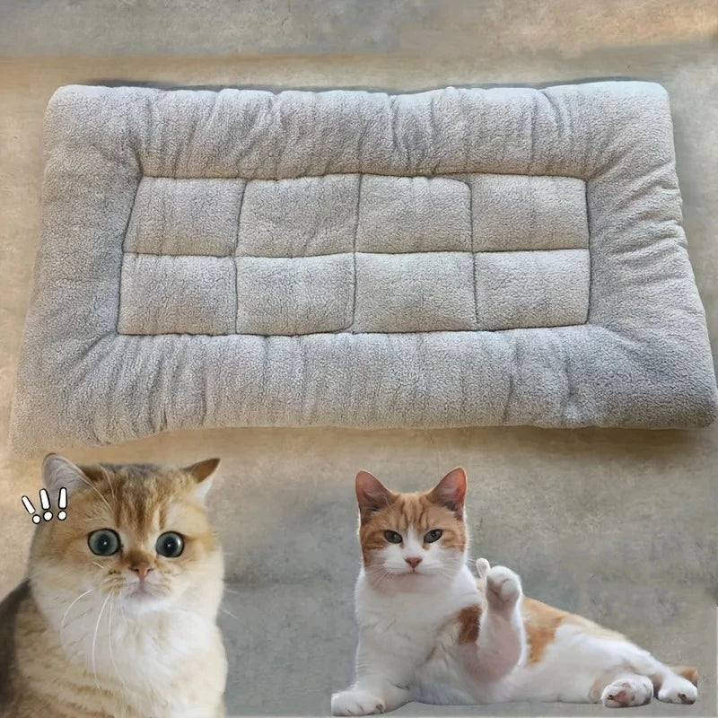 Large Plush Dog Bed