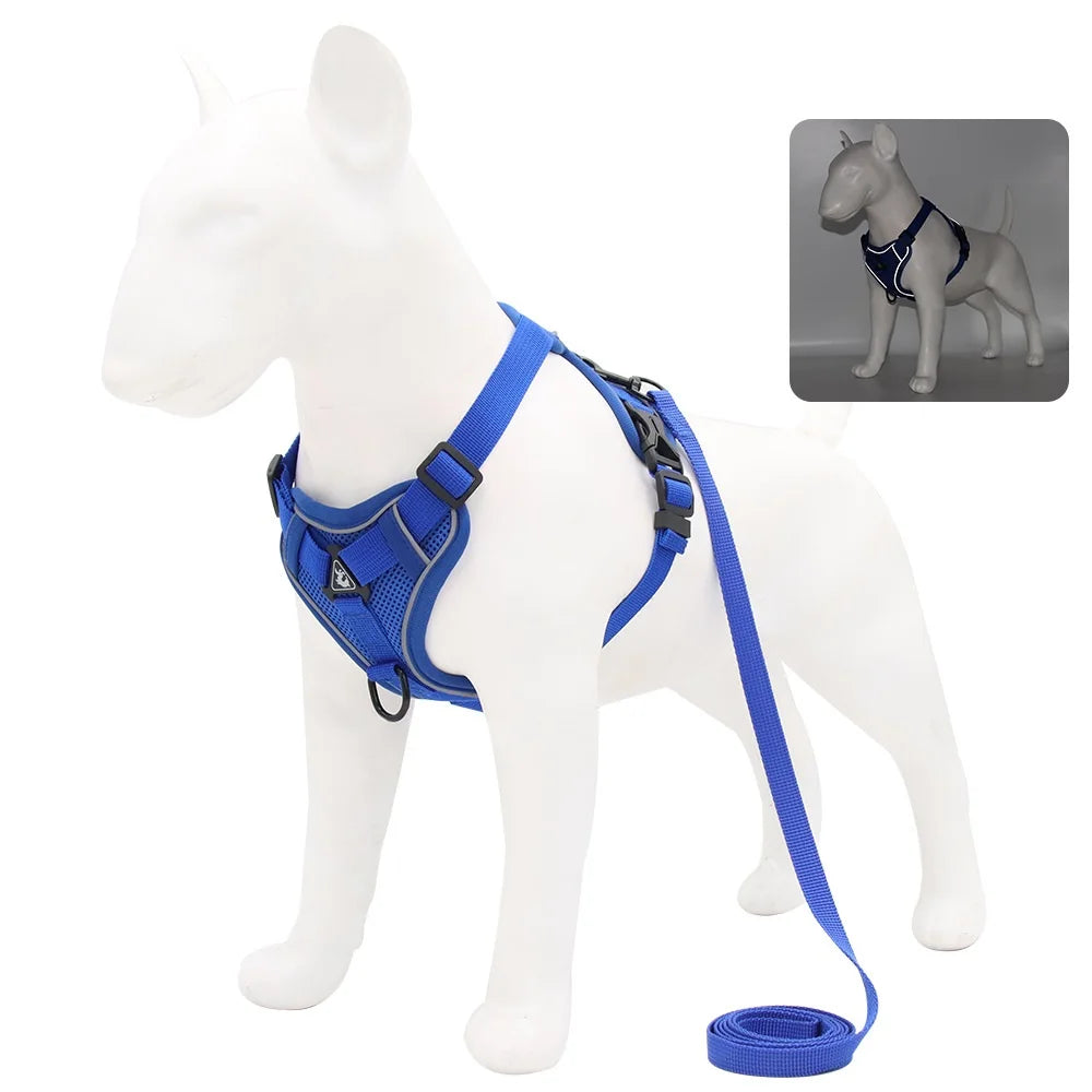Adjustable Dog Harness & Leash Set