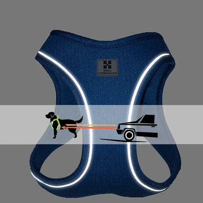 Adjustable Dog Harness & Leash Set