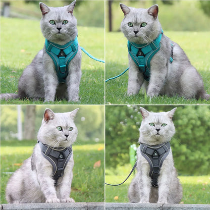 Adjustable Dog Harness & Leash Set