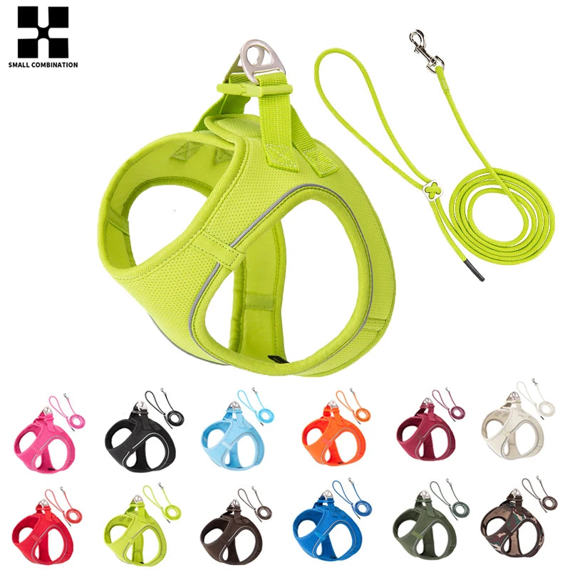 Adjustable Dog Harness & Leash Set