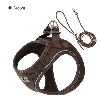 Adjustable Dog Harness & Leash Set