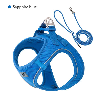 Adjustable Dog Harness & Leash Set