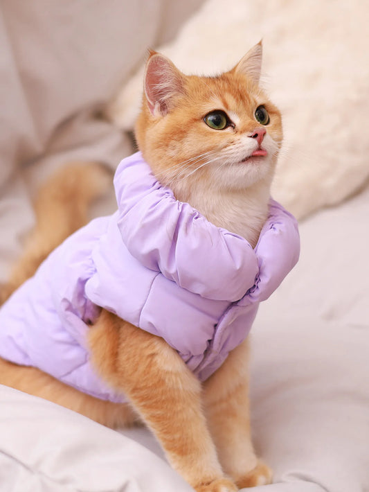 Warm 3-Layer Dog Jacket
