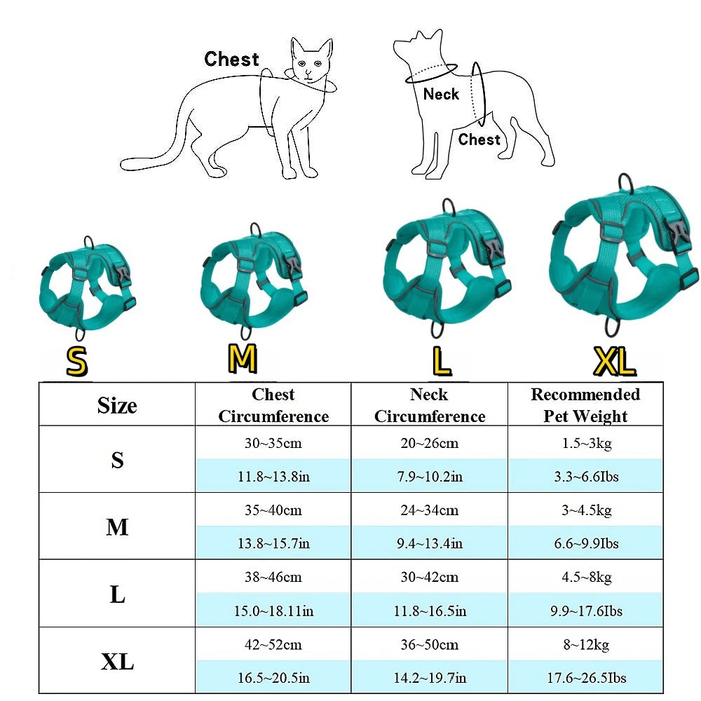 Adjustable Dog Harness & Leash Set
