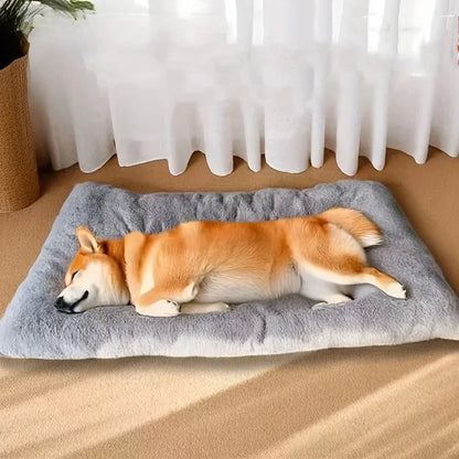 Large Plush Dog Bed