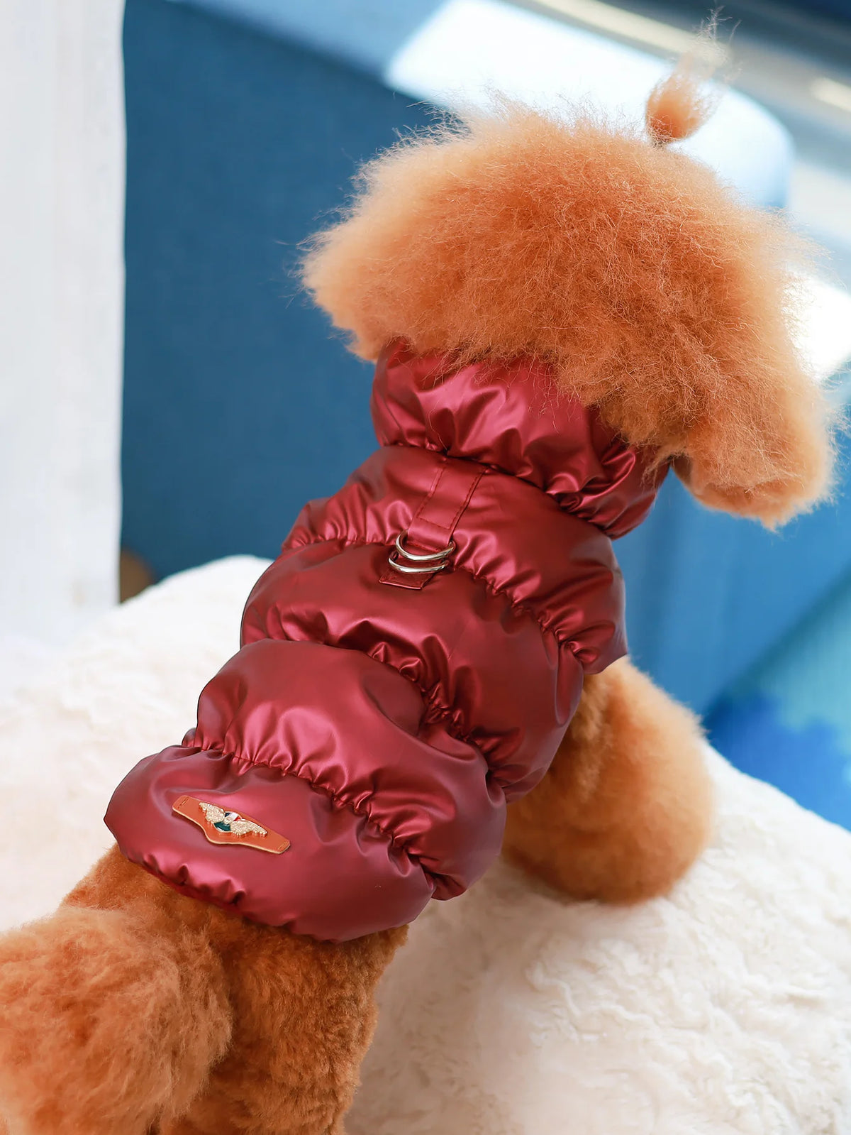 Warm 3-Layer Dog Jacket