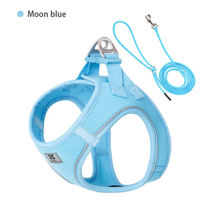 Adjustable Dog Harness & Leash Set