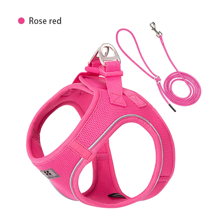 Adjustable Dog Harness & Leash Set