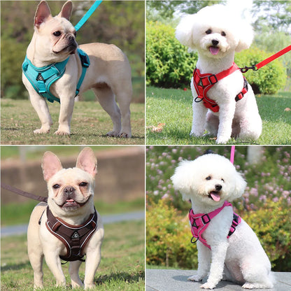Adjustable Dog Harness & Leash Set