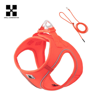 Adjustable Dog Harness & Leash Set