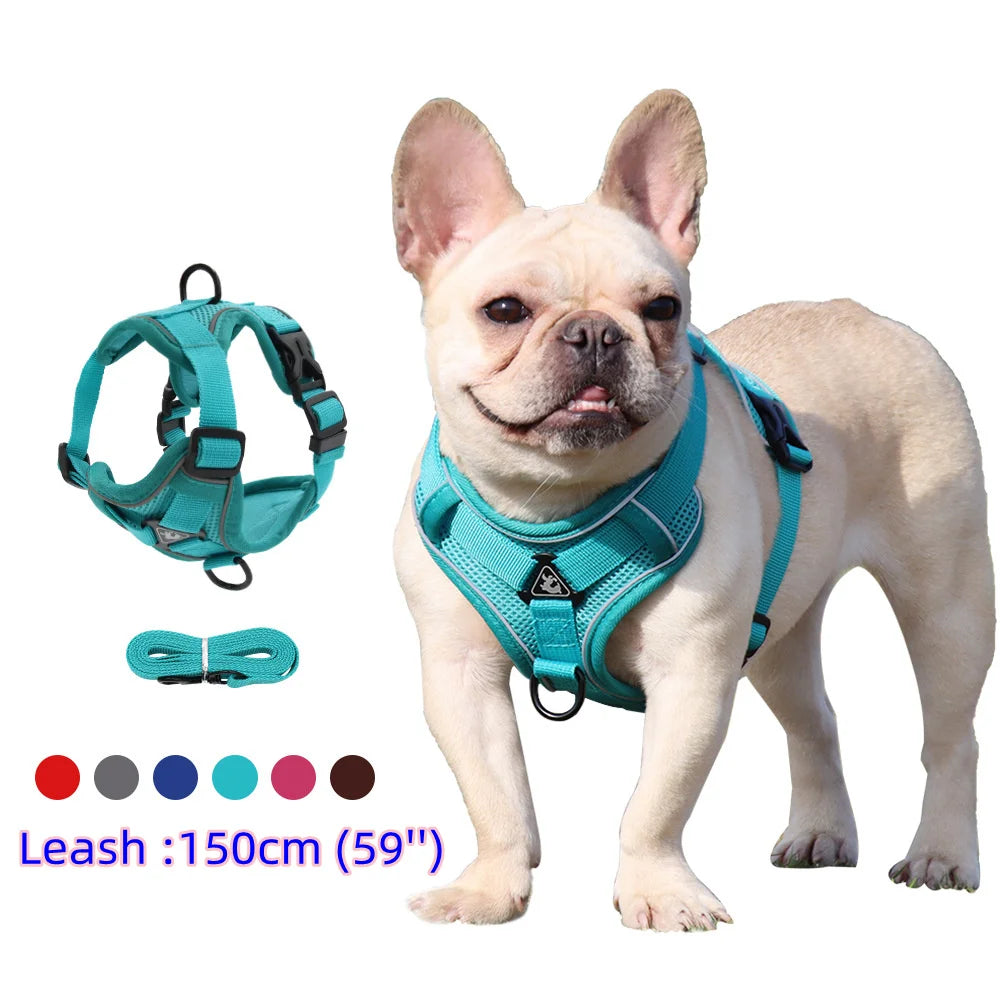 Adjustable Dog Harness & Leash Set