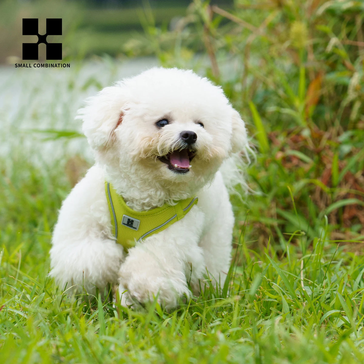 Adjustable Dog Harness & Leash Set