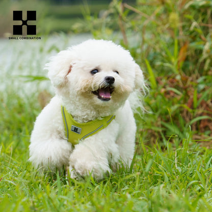Adjustable Dog Harness & Leash Set