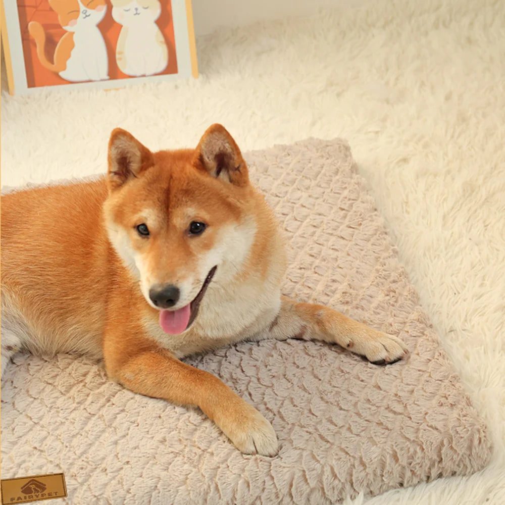Washable Orthopedic Dog Bed