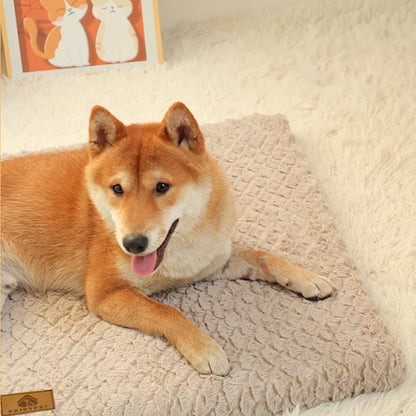 Washable Orthopedic Dog Bed