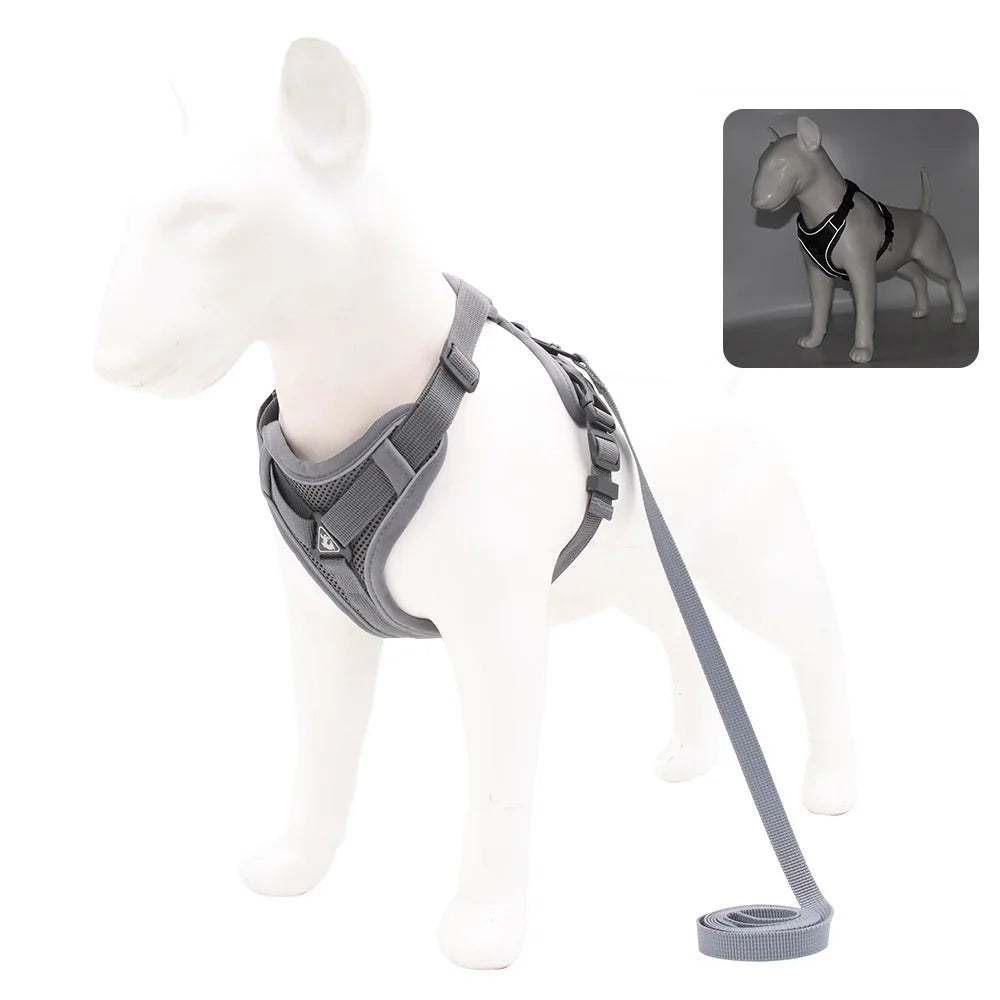 Adjustable Dog Harness & Leash Set
