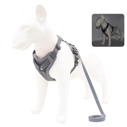 Adjustable Dog Harness & Leash Set