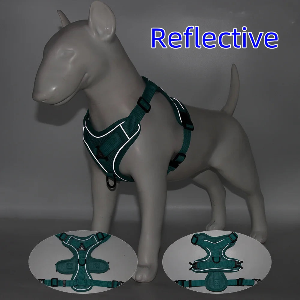 Adjustable Dog Harness & Leash Set