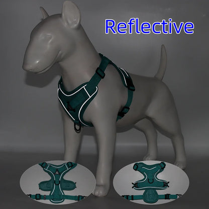 Adjustable Dog Harness & Leash Set