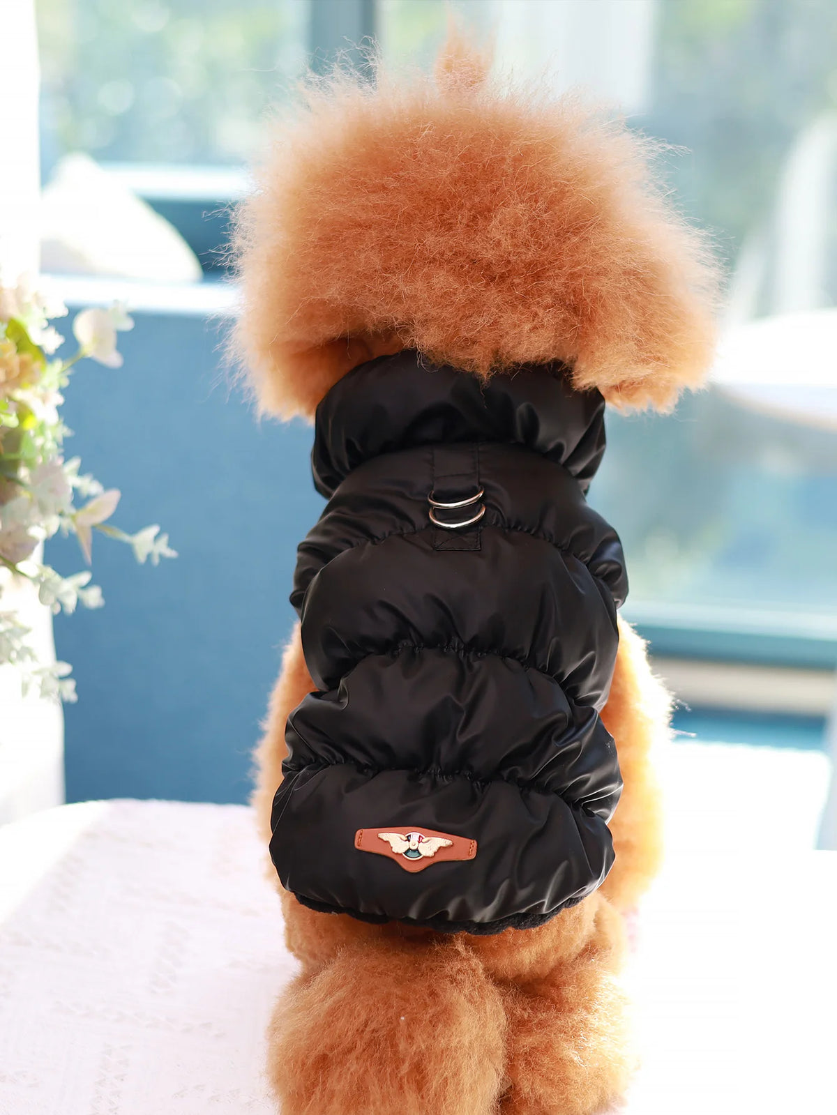 Warm 3-Layer Dog Jacket