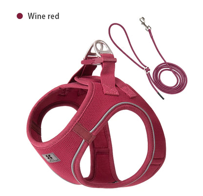 Adjustable Dog Harness & Leash Set
