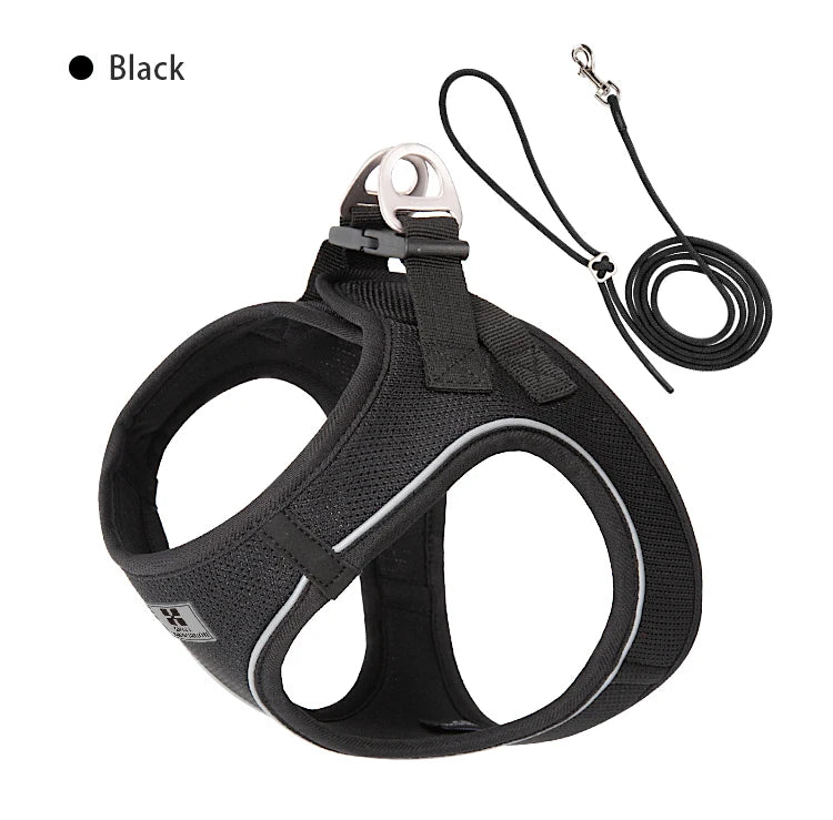 Adjustable Dog Harness & Leash Set