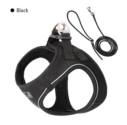 Adjustable Dog Harness & Leash Set